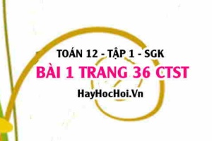 Bài 1 trang 36 Toán 12 tập 1 Chân trời sáng tạo